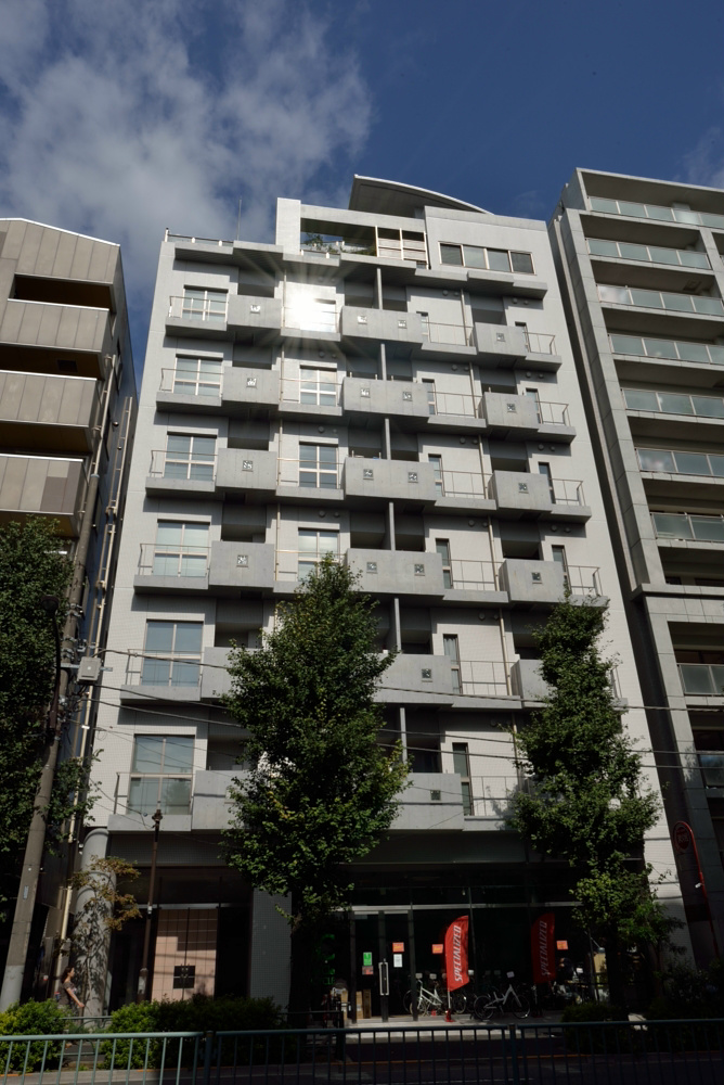 ホワイトフロント DSC_1002.jpg